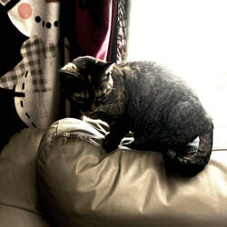 I don't know what to say