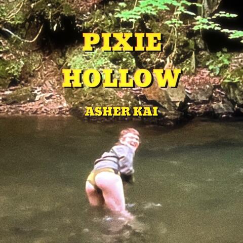 Pixie Hollow