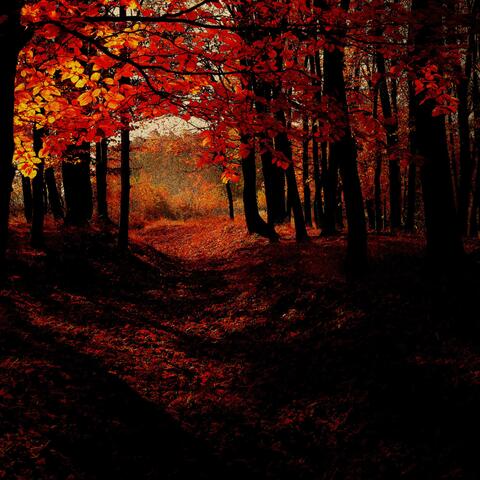 Autumn Pack