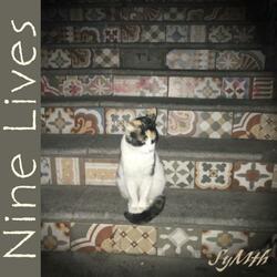 Night Is a Playground