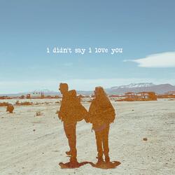I didn't say I love you