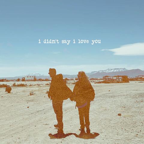 I didn't say I love you