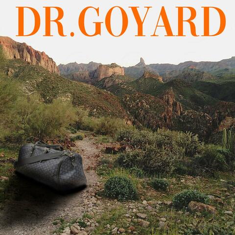 Dr. GoYard (feat. madben)