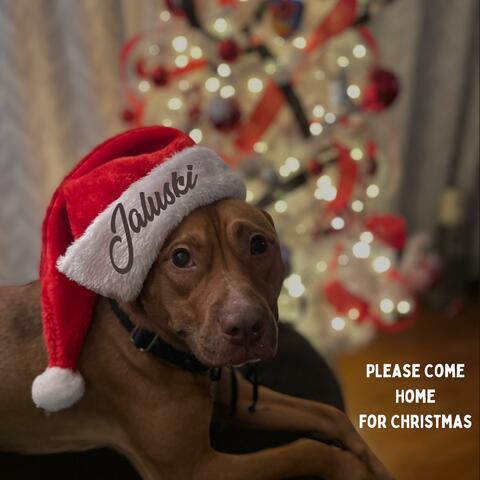 Please Come Home for Christmas