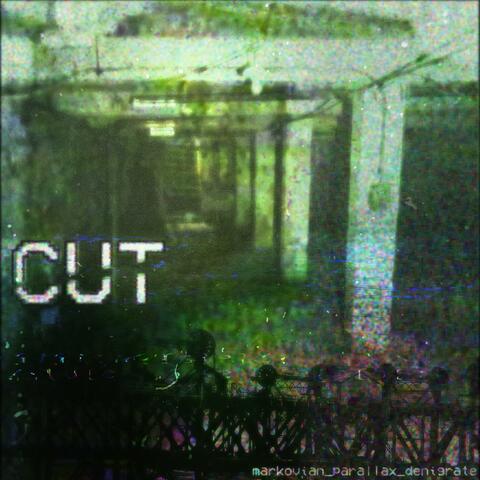 cut (single version )