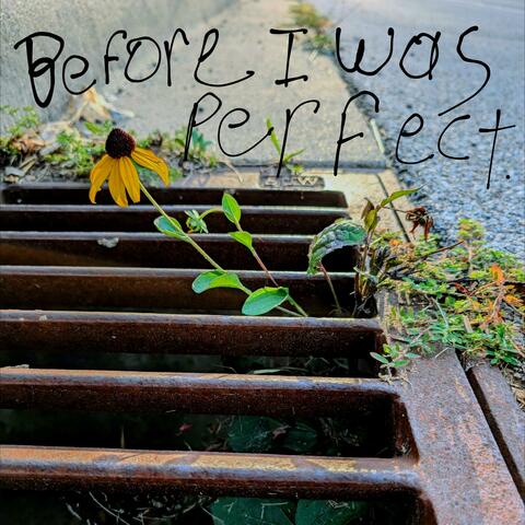 Before I was Perfect.