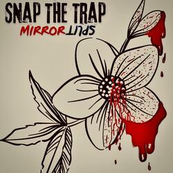 Mirror Split