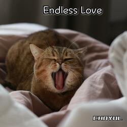 Endless Love