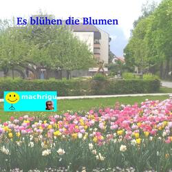 und alles verbrannten