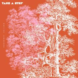 Take A Step