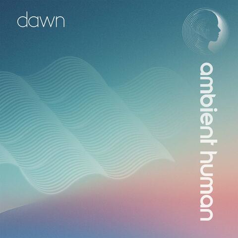 Dawn
