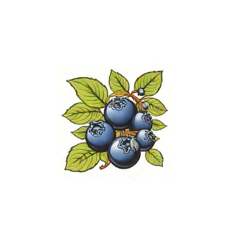Blueberry