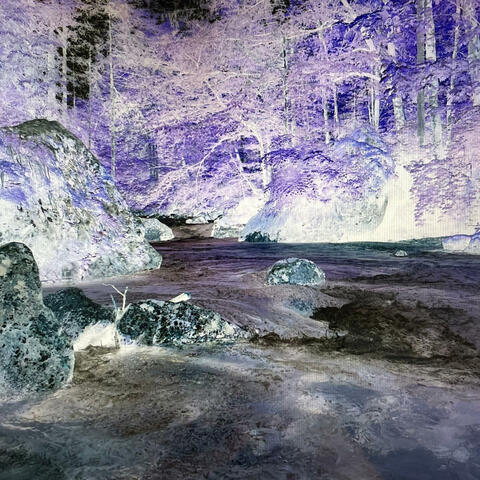 rolling bells (from Th3ng, an album not on streaming)