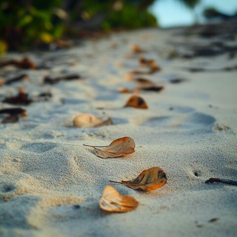 You'll find my trace