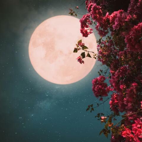 Wide Awake