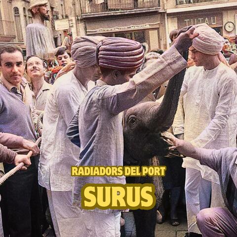 Surus