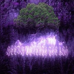 seeds beneath the ash