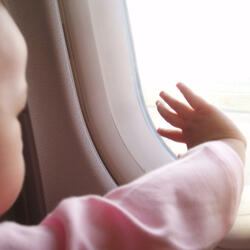 Som kaprifol och timotej