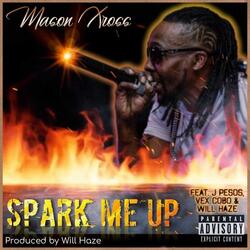 Spark Me Up (feat. J. Pesos, Will Haze & Vex Cobo)