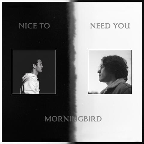 Nice To Need You