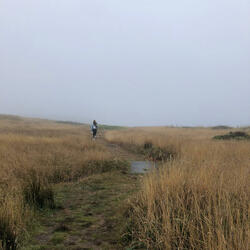 like im missing someone