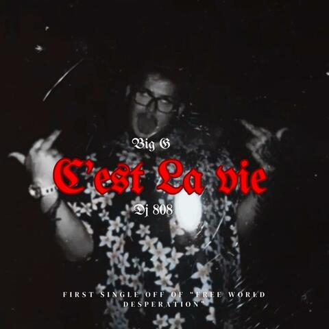 C'est La Vie (feat. Big G)