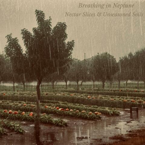 Nectar Slices & Unseasoned Soils