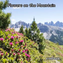 Flowers on the Mountain