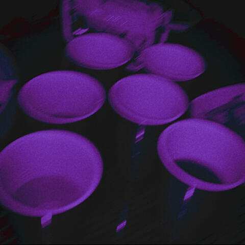 The Party