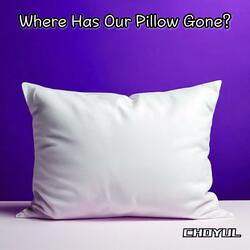 Where Has Our Pillow Gone