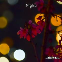 Night