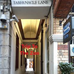 The World Will Know Your Name