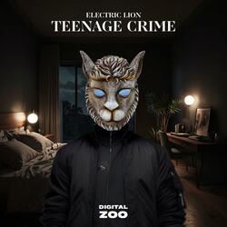 Teenage Crime