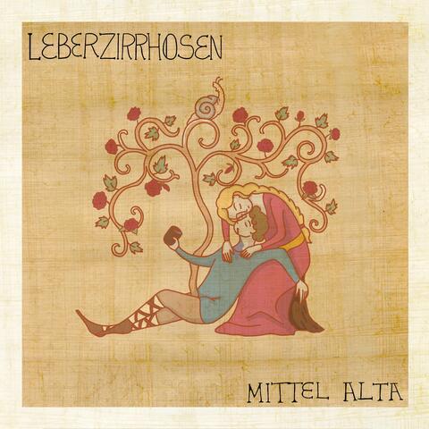 Leberzirrhosen