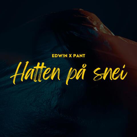 Hatten på snei (feat. Pant)