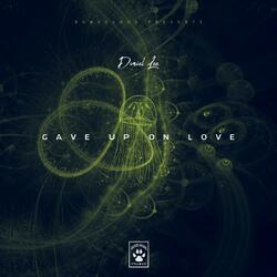 Gave Up On Love