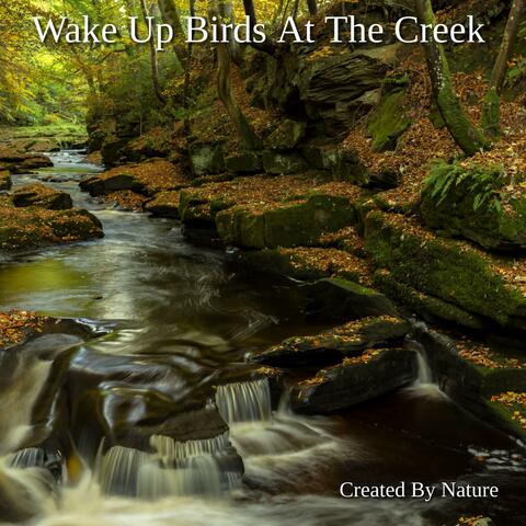 Wake Up Birds At The Creek