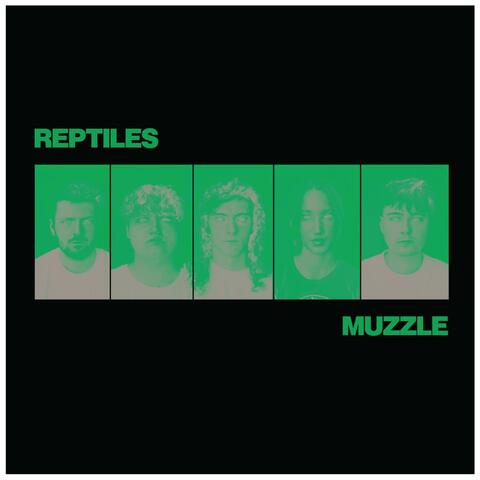 Reptiles