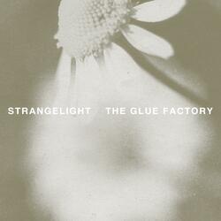 The Glue Factory