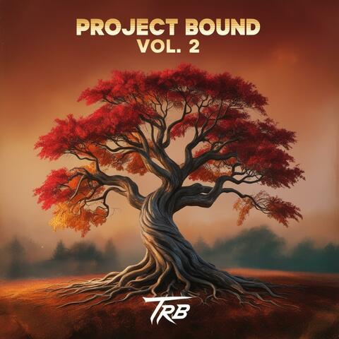 Project Bound, Vol. 2