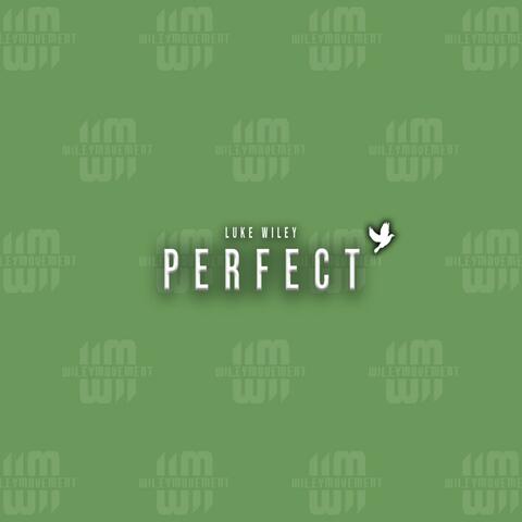 Perfect