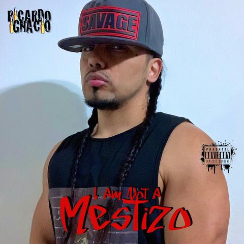 I Am Not A Mestizo