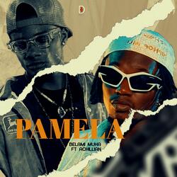 Pamela (feat. Achillian)