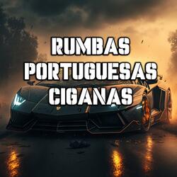 Rumba Portuguésa Lo Más Nuevo (Dj Bryan Con Salero)
