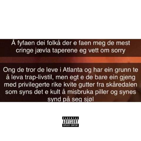 privilegerte junkies (feat. $noCat)