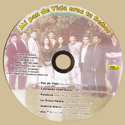 Calmando Todo Dolor