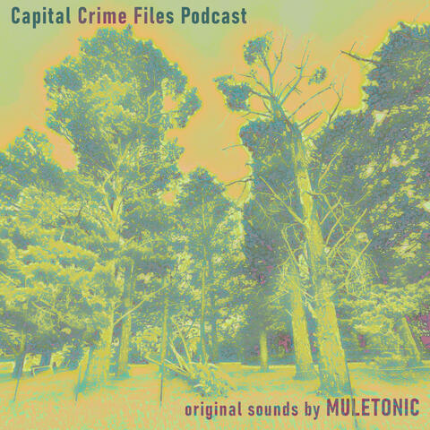 Canberra Crime Files Podcast (original sounds by Muletonic)