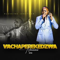 Vachaperekedzwa Neminana