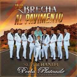 De la brecha al pavimento