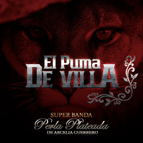 El Puma de Villa